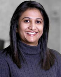 Krishna Pallegar